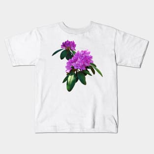 Lovely Pink Rhododendrons Kids T-Shirt